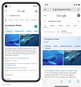 google porównanie wersji mobilnych