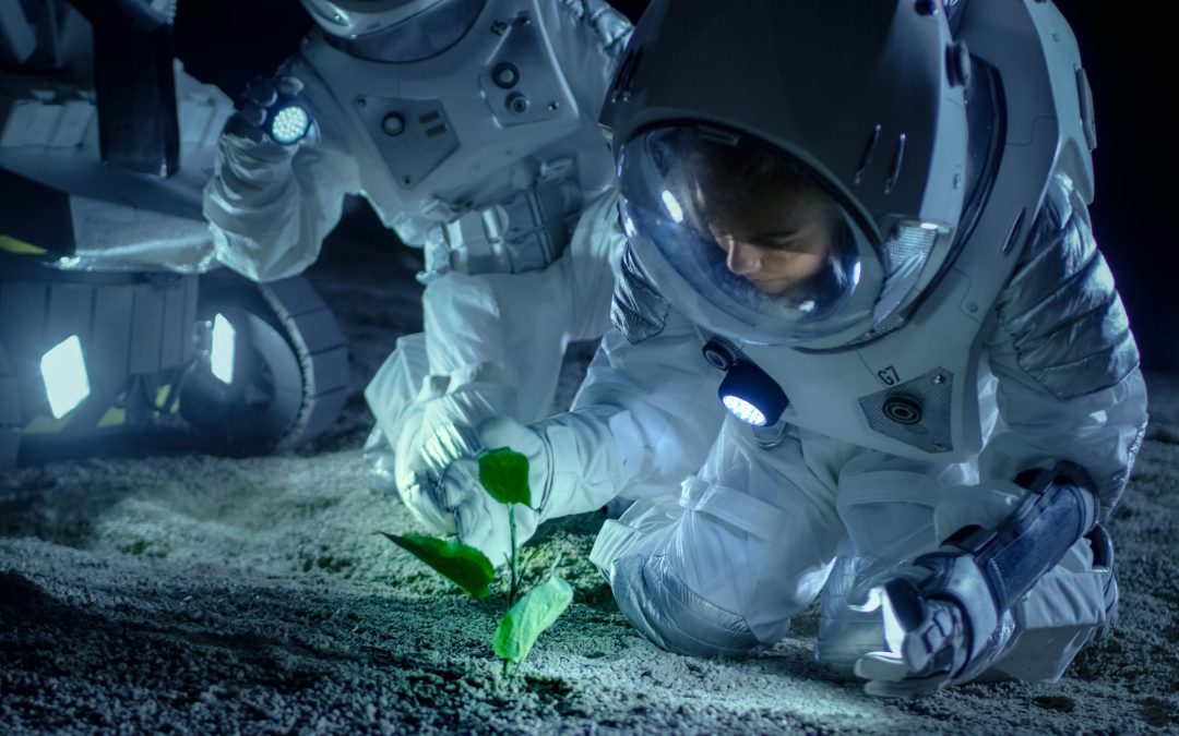 NASA pracuje nad jakością jedzenia w kosmosie