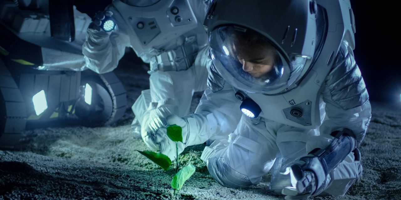 NASA pracuje nad jakością jedzenia w kosmosie