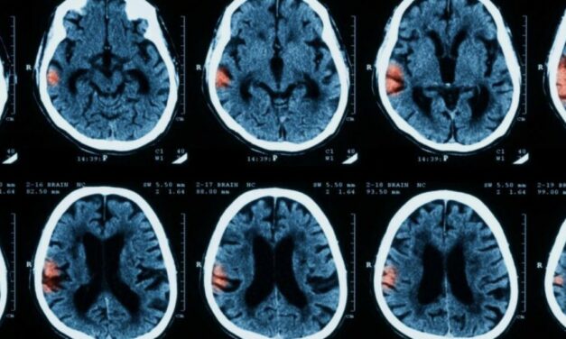 Facebook AI rozpoznaje i oznacza zdjęcia bez pomocy człowieka
