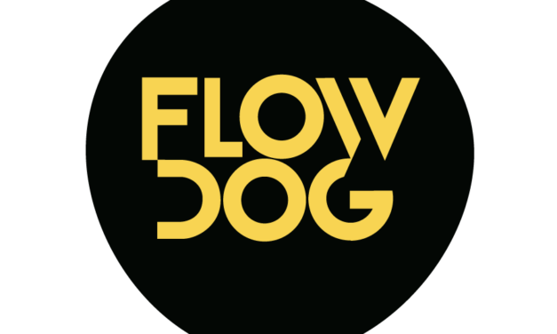 IoT, technologie przyszłości i pandemia – rozmawiamy z FlowDog