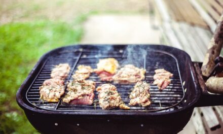 Grill węglowy czy gazowy, kamado czy wędzarnia? Jak grill wpływa na smak?
