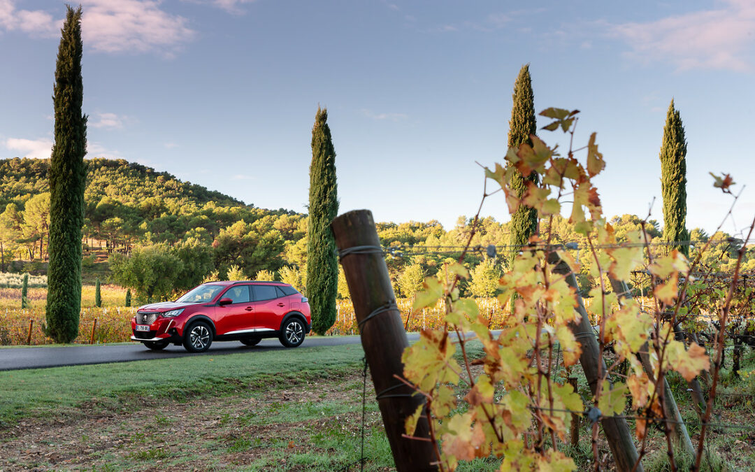 Jakie auta elektryczne z dopłatą kupimy w 2021? Które warto wybrać?