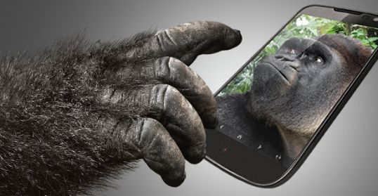 Corning, twórcy Gorilla Glass otrzymali 45 mln dol. od Apple