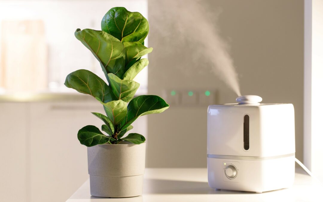 Jaki nawilżacz powietrza jest najlepszy dla Twojego domu?