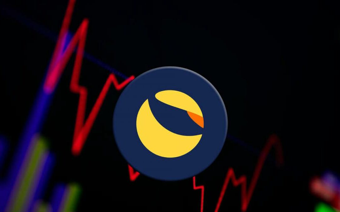 Terra Luna, czyli od milionera do zera w 24 godziny