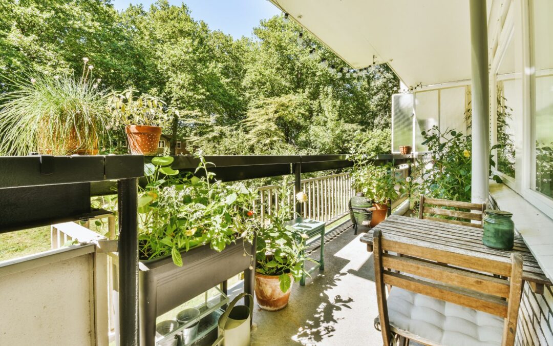 Pachnące zioła i ciekawe kwiaty na balkon bezpieczne dla psa