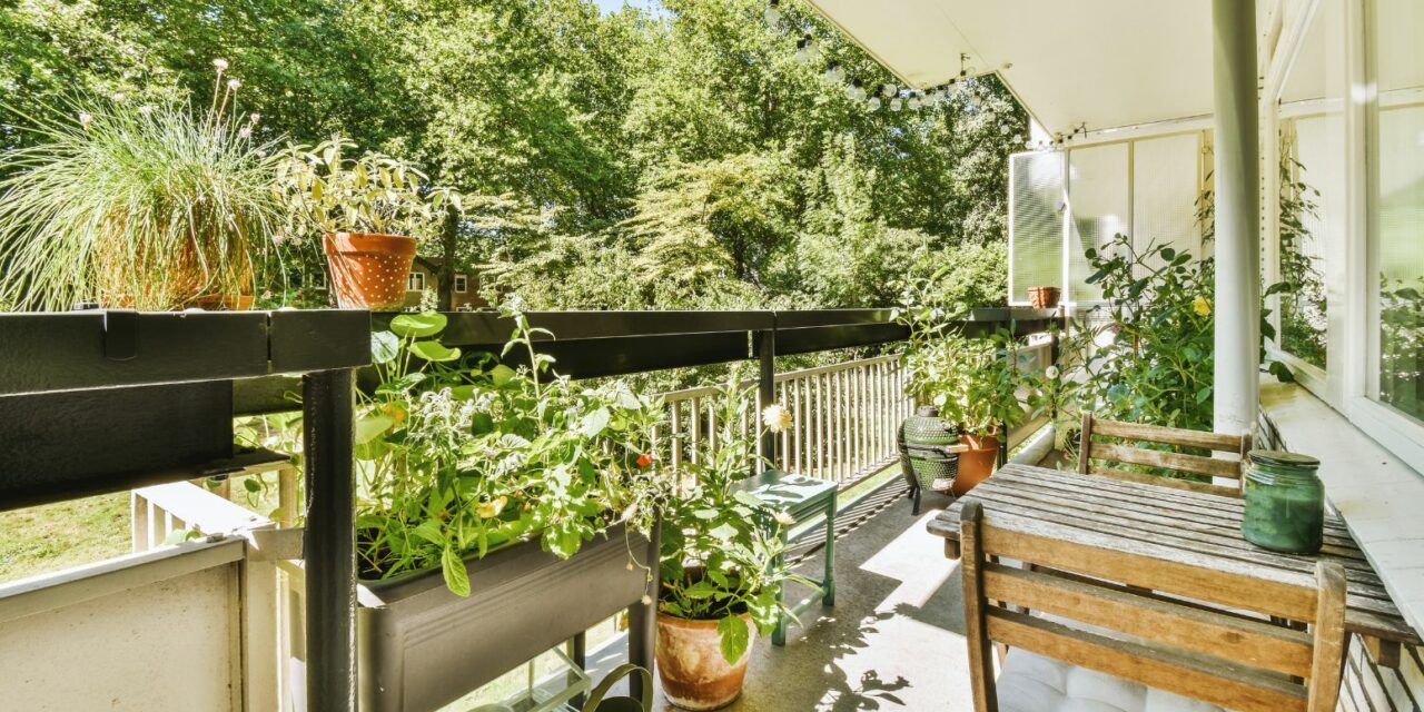 Pachnące zioła i ciekawe kwiaty na balkon bezpieczne dla psa