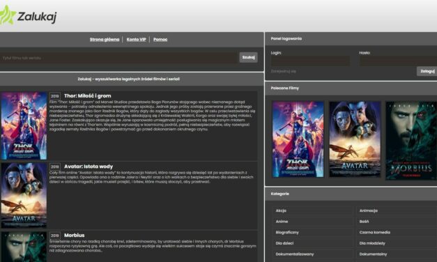 Zalukaj.vip zostało zamknięte a właściciel aresztowany