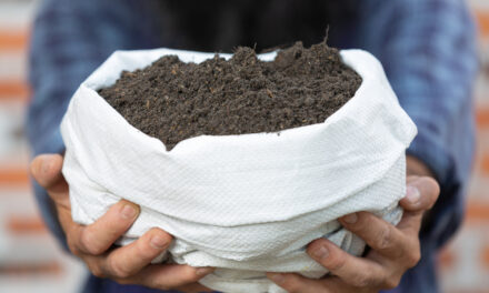 Kompostownik w domu – jak samodzielnie zrobić kompost?