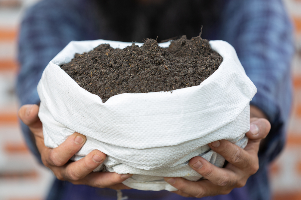 Kompostownik w domu – jak samodzielnie zrobić kompost?