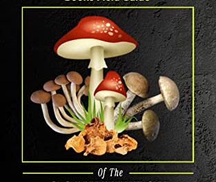ChatGPT pisze książki… o zbieraniu grzybów. Co może pójść nie tak?