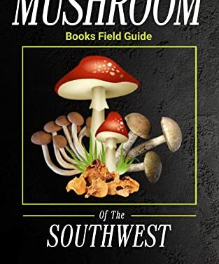 ChatGPT pisze książki… o zbieraniu grzybów. Co może pójść nie tak?