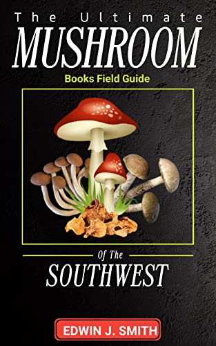 ChatGPT pisze książki… o zbieraniu grzybów. Co może pójść nie tak?