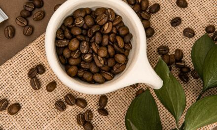 Ranking najlepszych kaw do ekspresu ciśnieniowego 2023 [TOP 10]
