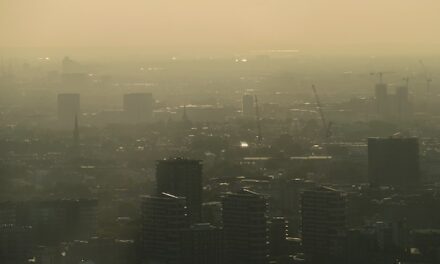 Aplikacja do sprawdzania poziomu smogu – jaką warto wybrać?