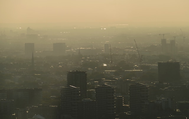 Aplikacja do sprawdzania poziomu smogu – jaką warto wybrać?
