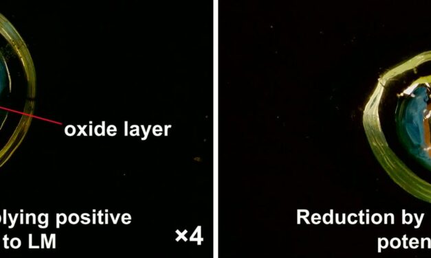 FlexRAM – chińscy naukowcy wynaleźli elastyczną pamięć RAM