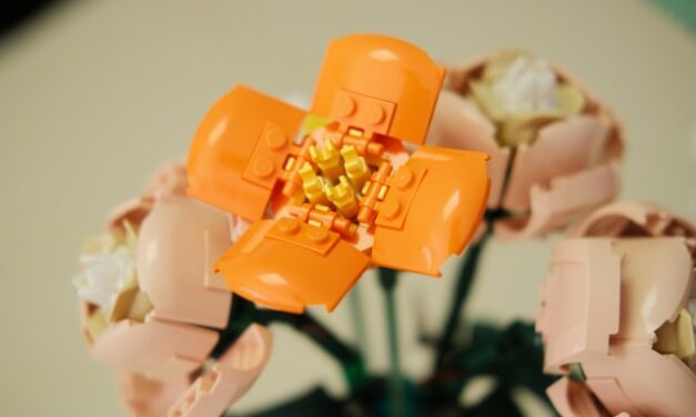 LEGO dla dorosłych? Czy to ma sens? Jaki zestaw kupić?