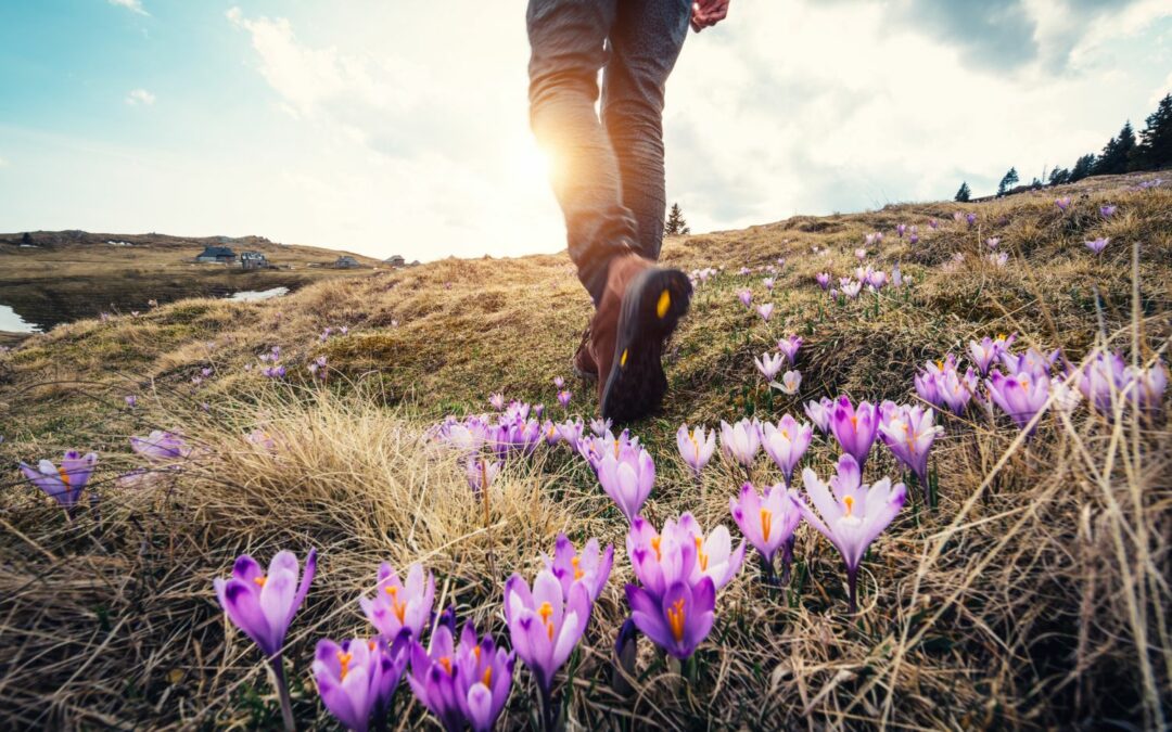 Wiosenne aktywności – co robić wiosną? Propozycje i porady