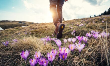 Wiosenne aktywności – co robić wiosną? Propozycje i porady