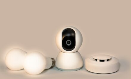 Monitoring domu – jak wybrać dobrą kamerkę wewnętrzną?