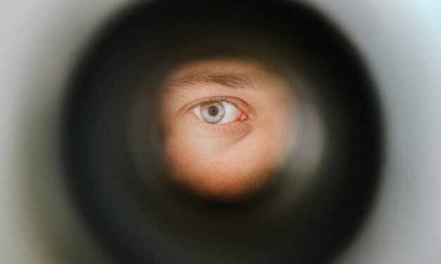 Wizjer z kamerą – jak działa wizjer elektroniczny?