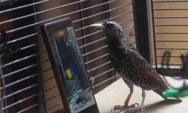 Na czym zapisać dane? Najlepiej na szpaku