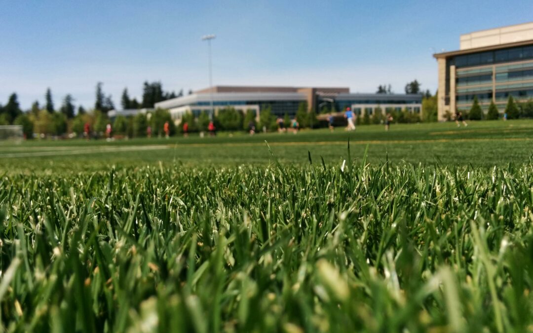 Wertykulacja i nawożenie, czyli jak uratować trawnik po zimie