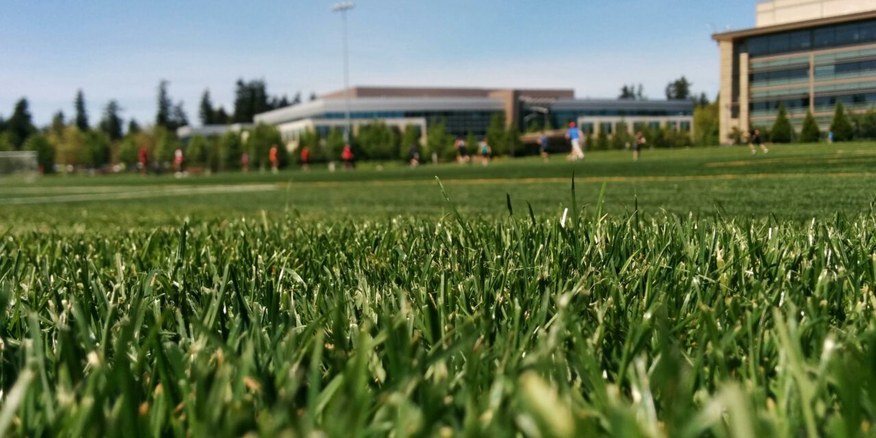 Wertykulacja i nawożenie, czyli jak uratować trawnik po zimie