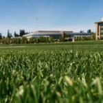 Wertykulacja i nawożenie, czyli jak uratować trawnik po zimie