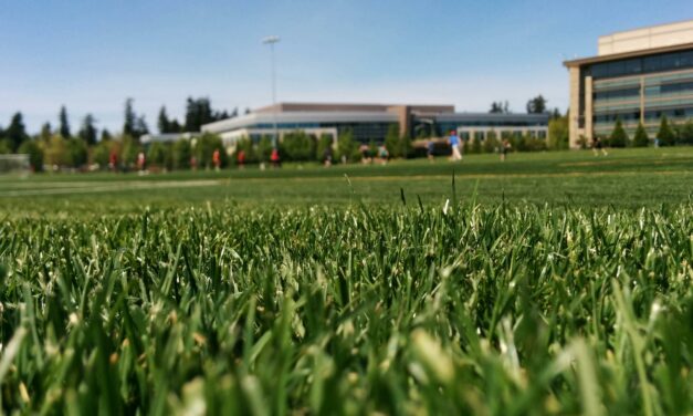 Wertykulacja i nawożenie, czyli jak uratować trawnik po zimie