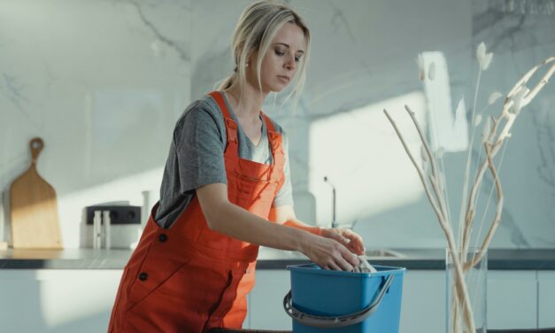 Wiosenne porządki w wersji turbo – odkurzacze pionowe i myjki do szyb