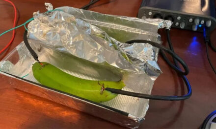 Audiofile nie odróżniają kabla audio od banana