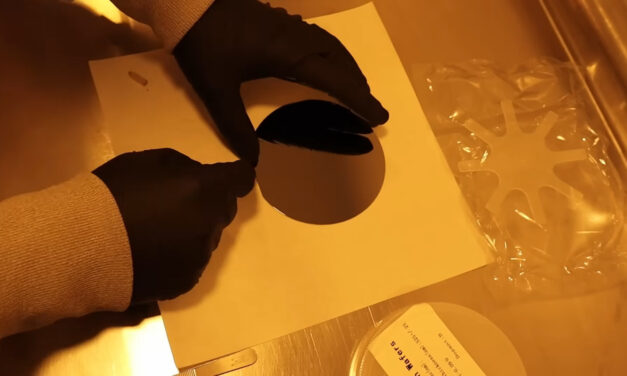 Pamięć RAM wyhodowana w garażu? YouTuber zaskakuje